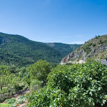 Le Chardon A Blajoux