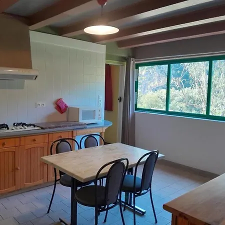 Le Chardon A Blajoux Montbrun (Lozere)